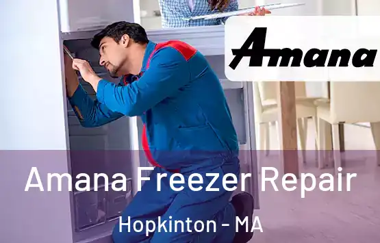  Amana Freezer Repair Hopkinton - MA