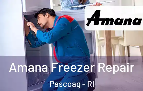  Amana Freezer Repair Pascoag - RI