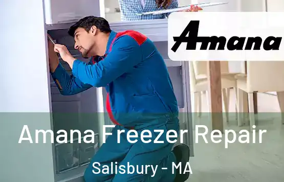  Amana Freezer Repair Salisbury - MA