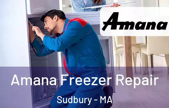  Amana Freezer Repair Sudbury - MA