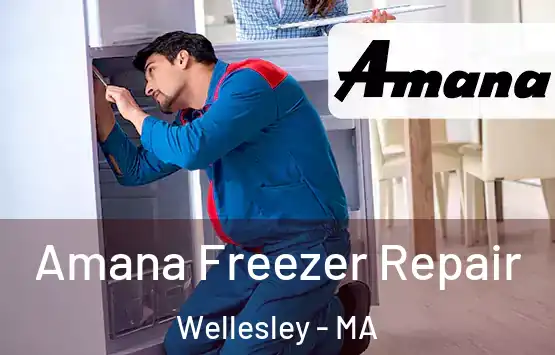  Amana Freezer Repair Wellesley - MA