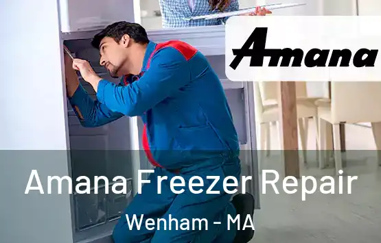  Amana Freezer Repair Wenham - MA