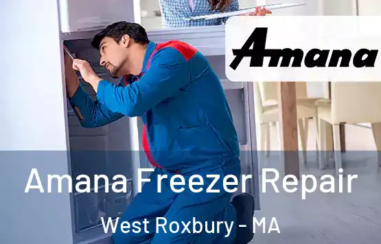  Amana Freezer Repair West Roxbury - MA