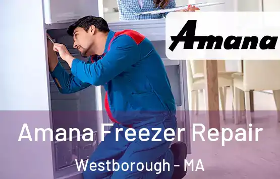  Amana Freezer Repair Westborough - MA