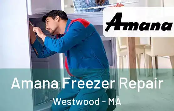  Amana Freezer Repair Westwood - MA