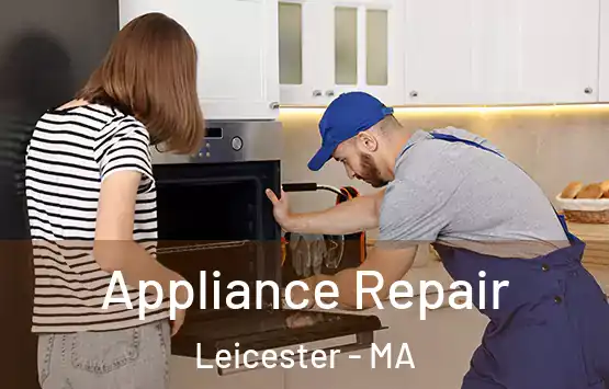  Appliance Repair Leicester - MA