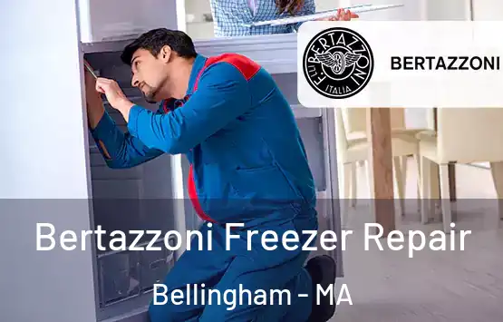  Bertazzoni Freezer Repair Bellingham - MA