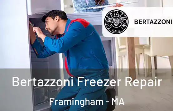  Bertazzoni Freezer Repair Framingham - MA