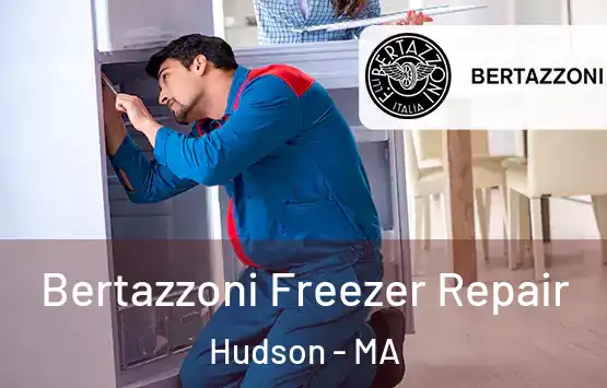  Bertazzoni Freezer Repair Hudson - MA