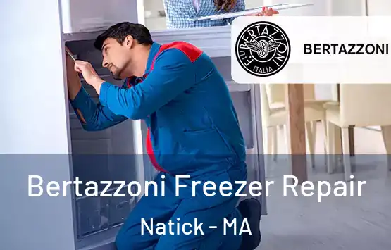  Bertazzoni Freezer Repair Natick - MA
