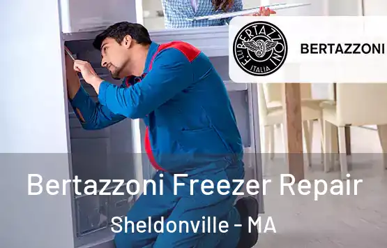  Bertazzoni Freezer Repair Sheldonville - MA