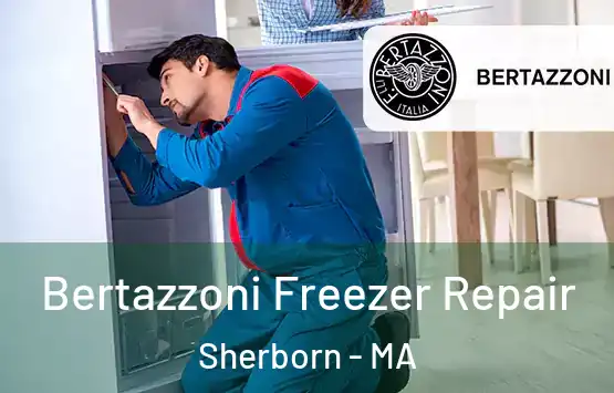  Bertazzoni Freezer Repair Sherborn - MA
