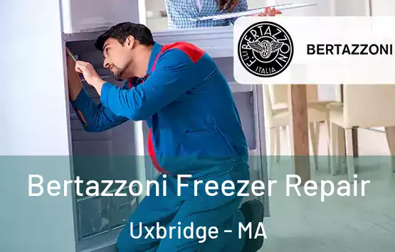  Bertazzoni Freezer Repair Uxbridge - MA
