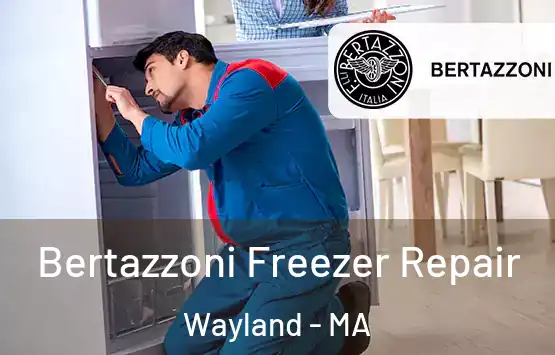  Bertazzoni Freezer Repair Wayland - MA