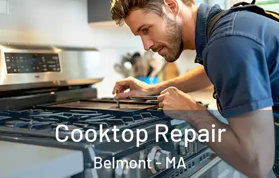  Cooktop Repair Belmont - MA