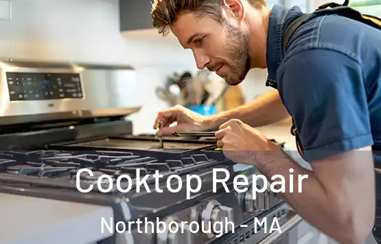  Cooktop Repair Northborough - MA