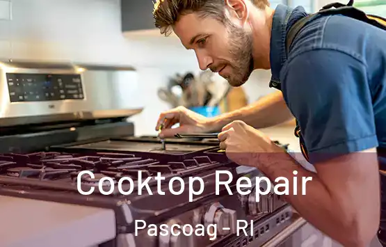  Cooktop Repair Pascoag - RI