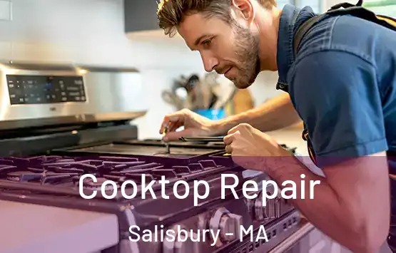  Cooktop Repair Salisbury - MA