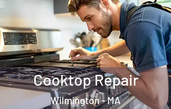  Cooktop Repair Wilmington - MA