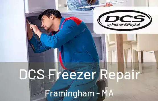  DCS Freezer Repair Framingham - MA