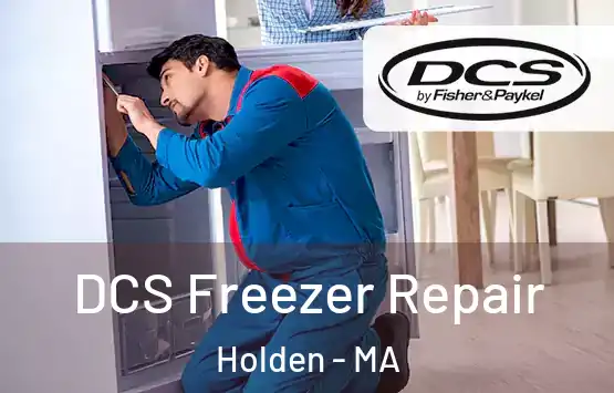  DCS Freezer Repair Holden - MA