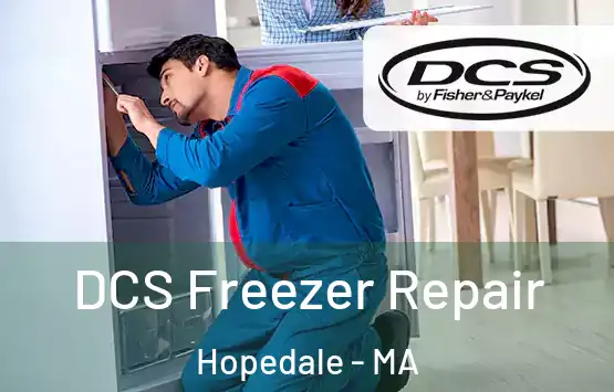  DCS Freezer Repair Hopedale - MA