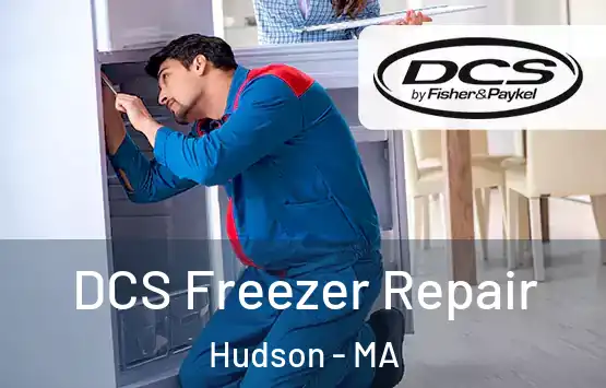  DCS Freezer Repair Hudson - MA