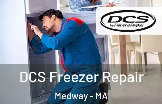  DCS Freezer Repair Medway - MA