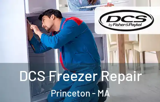  DCS Freezer Repair Princeton - MA