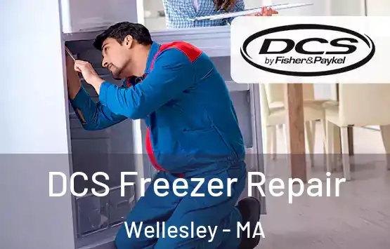  DCS Freezer Repair Wellesley - MA