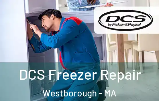  DCS Freezer Repair Westborough - MA