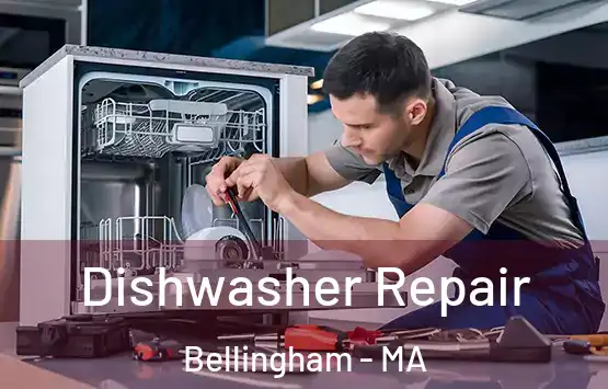  Dishwasher Repair Bellingham - MA