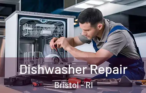  Dishwasher Repair Bristol - RI