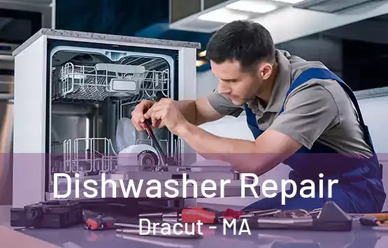  Dishwasher Repair Dracut - MA