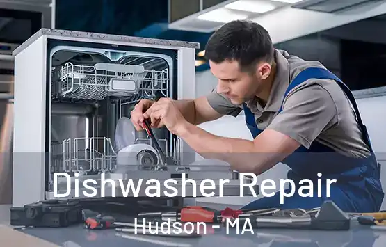  Dishwasher Repair Hudson - MA
