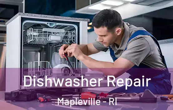  Dishwasher Repair Mapleville - RI