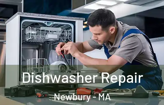  Dishwasher Repair Newbury - MA