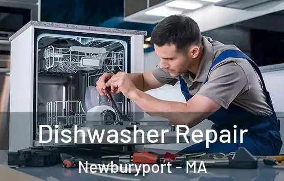  Dishwasher Repair Newburyport - MA
