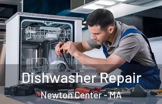  Dishwasher Repair Newton Center - MA