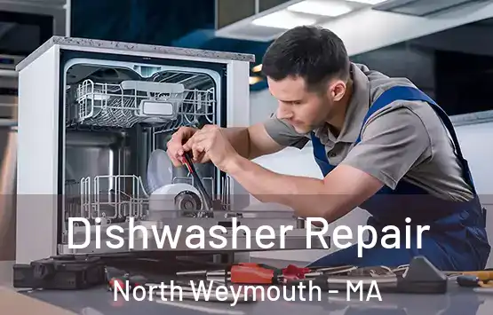  Dishwasher Repair North Weymouth - MA