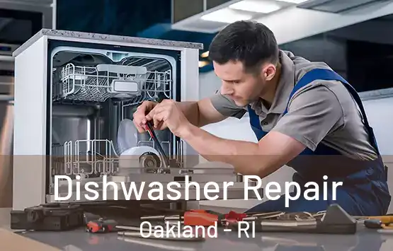  Dishwasher Repair Oakland - RI