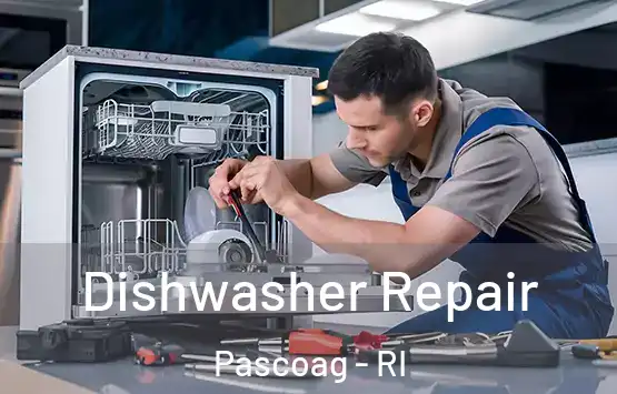  Dishwasher Repair Pascoag - RI