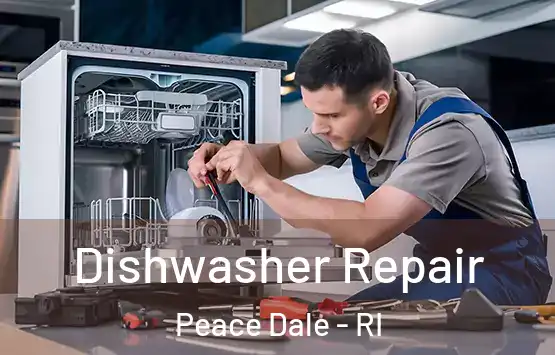  Dishwasher Repair Peace Dale - RI