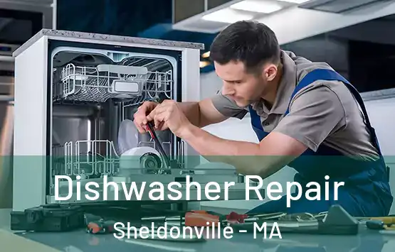  Dishwasher Repair Sheldonville - MA