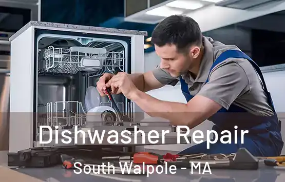  Dishwasher Repair South Walpole - MA