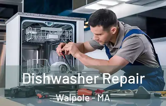  Dishwasher Repair Walpole - MA
