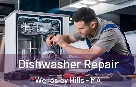  Dishwasher Repair Wellesley Hills - MA