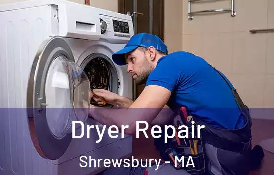  Dryer Repair Shrewsbury - MA