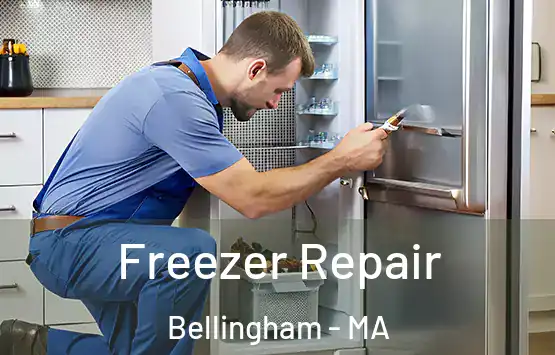  Freezer Repair Bellingham - MA