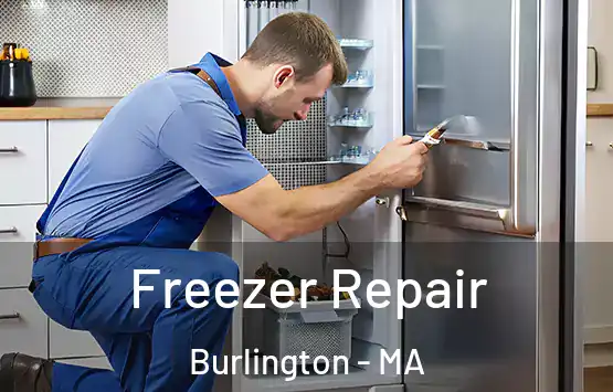  Freezer Repair Burlington - MA